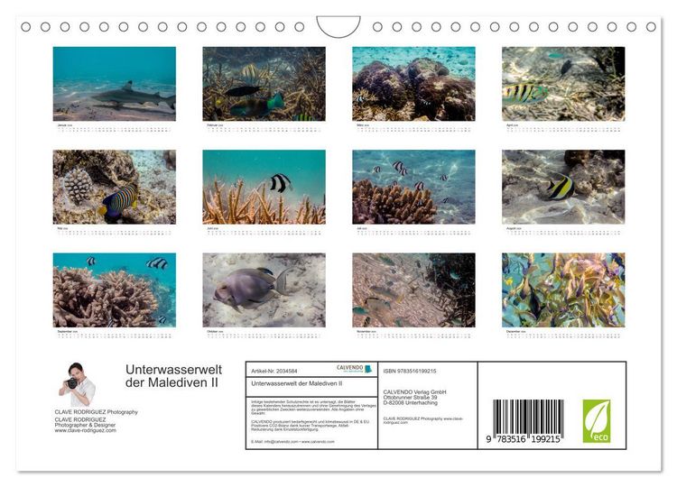 Produktbild: Unterwasserwelt der Malediven II (Wandkalender 2026 DIN A4 quer), CALVENDO Monatskalender