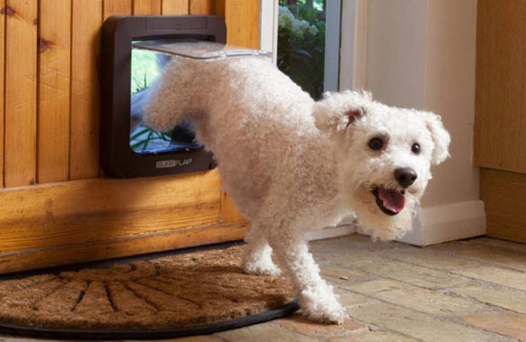 Produktbild: SureFlap Mikrochip Pet door Haustierklappe Braun 1St.