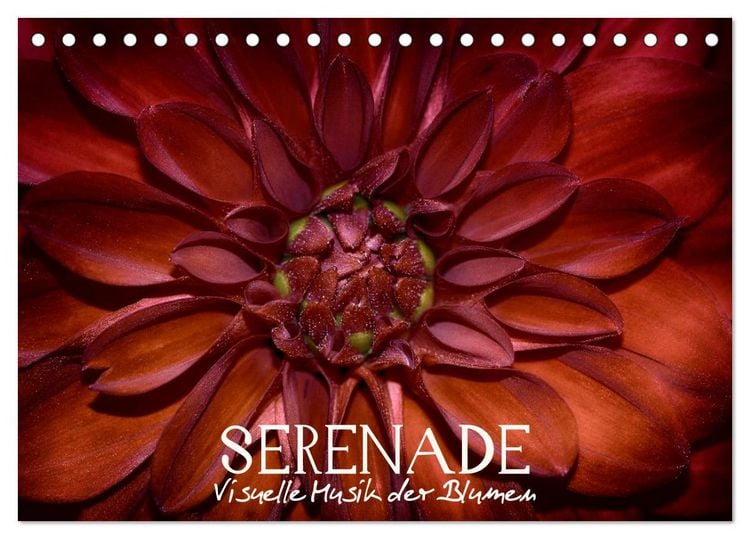 Produktbild: Serenade - Visuelle Musik der Blumen (Tischkalender 2026 DIN A5 quer), CALVENDO Monatskalender