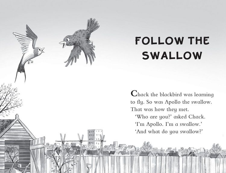 Produktbild: JULIA DONALDSONS BK OF PB