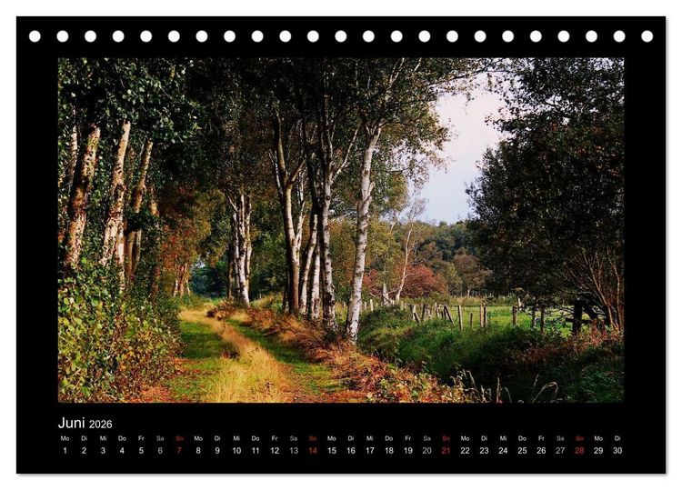 Produktbild: Landschaft Teufelsmoor / 2026 (Tischkalender 2026 DIN A5 quer), CALVENDO Monatskalender