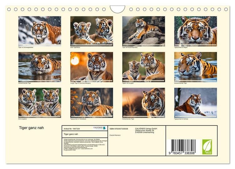 Produktbild: Tiger ganz nah (Wandkalender 2026 DIN A4 quer), CALVENDO Monatskalender
