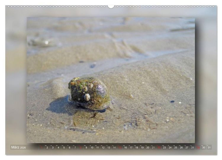 Produktbild: Baltrum - Ein Tag am Strand (hochwertiger Premium Wandkalender 2026 DIN A2 quer), Kunstdruck in Hochglanz