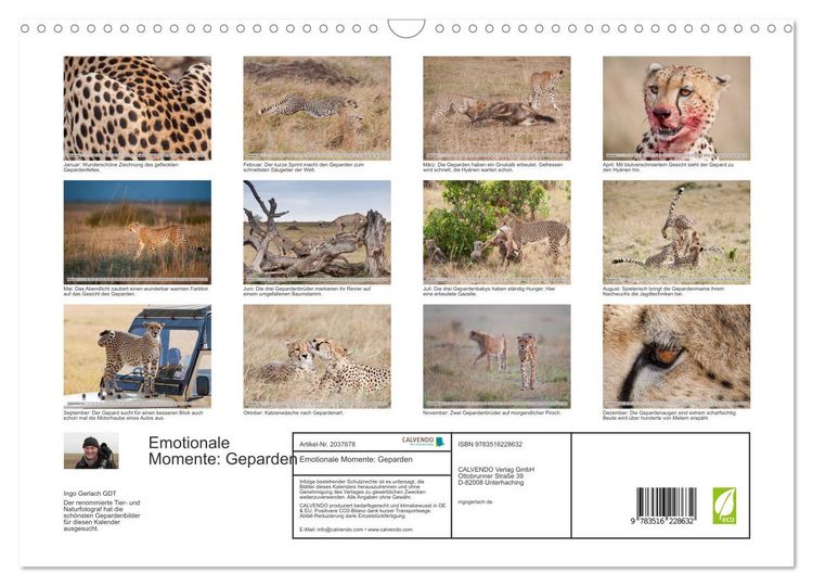 Produktbild: Emotionale Momente: Geparden (Wandkalender 2026 DIN A3 quer), CALVENDO Monatskalender
