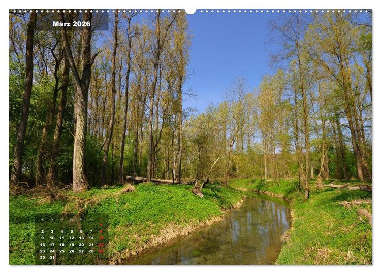 Produktbild: Zauberhafte Waldlandschaften (Wandkalender 2026 DIN A2 quer), CALVENDO Monatskalender