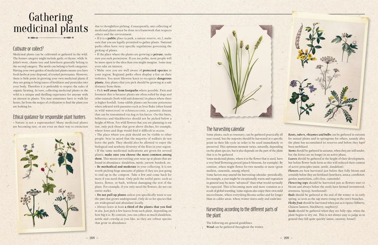 Produktbild: 100 Plants That Heal