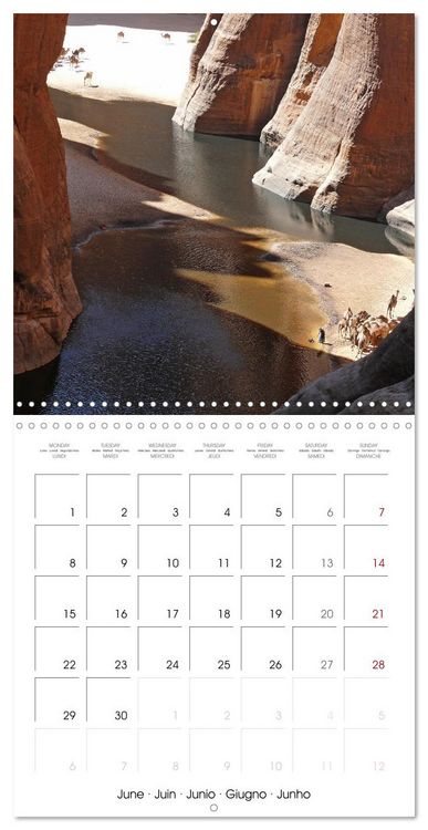 Produktbild: Desert - unknown exciting (Wall Calendar 2026 12 &times; 12 Inch) CALVENDO 12 Month Wall Calendar