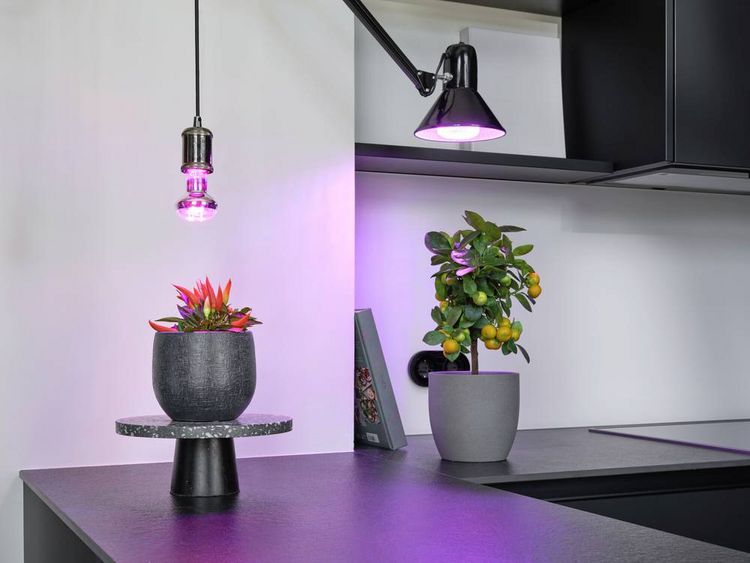 Produktbild: OSRAM HOMELIGHTING 4058075845787Pflanzenlampe E27 10W 1St.