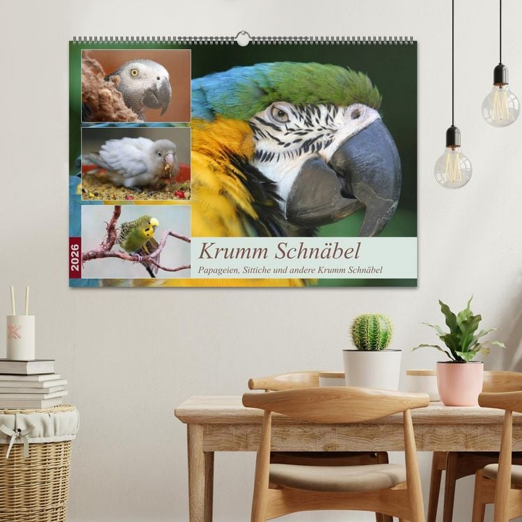 Produktbild: Krumm Schn&auml;bel - Papageien, Sittiche und andere Krumm Schn&auml;bel (Wandkalender 2026 DIN A2 quer), CALVENDO Monatskalender