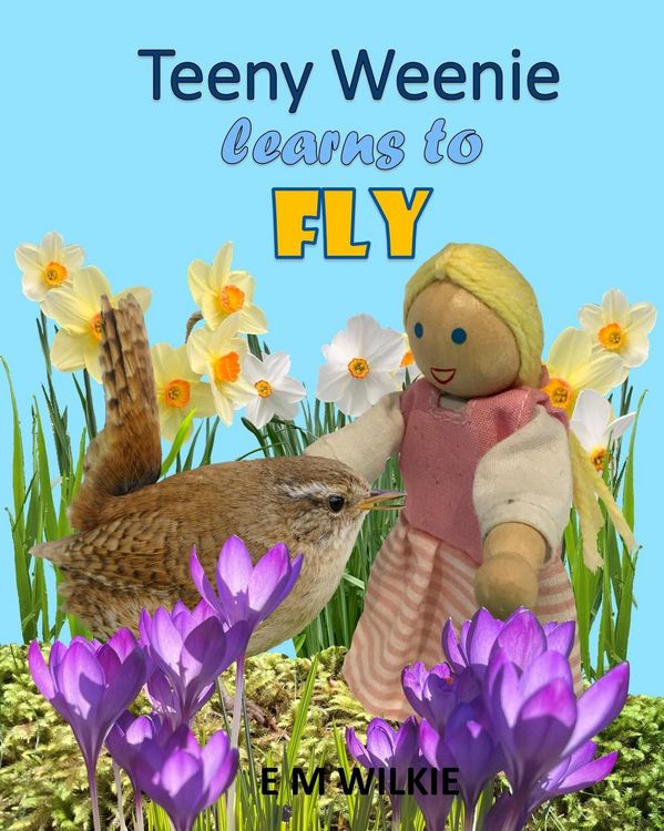 Produktbild: Teeny Weenie Learns to Fly (The Weenies of the Wood Adventures)