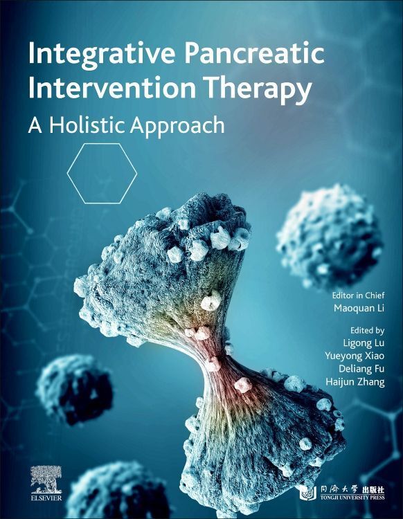 Produktbild: INTEGRATIVE PANCREATIC INTERVE