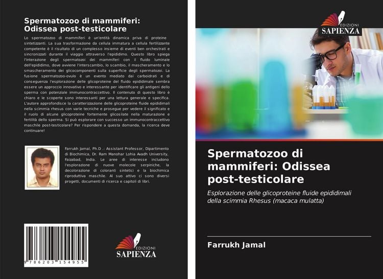 Produktbild: Spermatozoo di mammiferi: Odissea post-testicolare