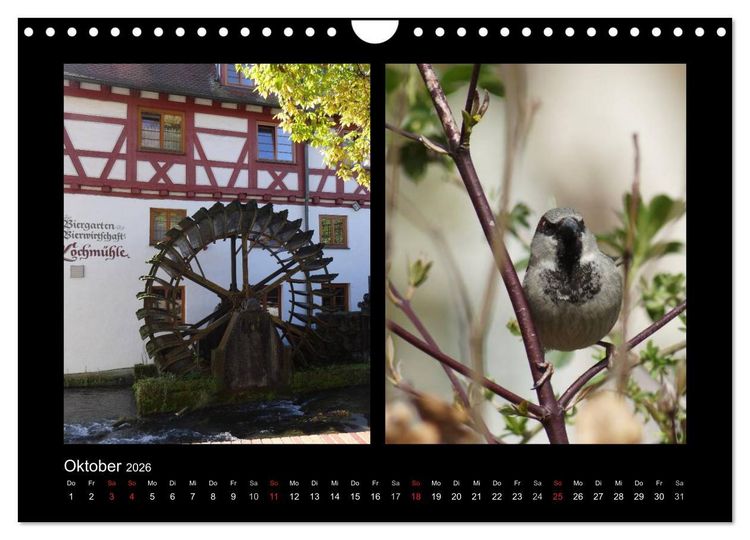 Produktbild: Ulmer Spatzen (Wandkalender 2026 DIN A4 quer), CALVENDO Monatskalender