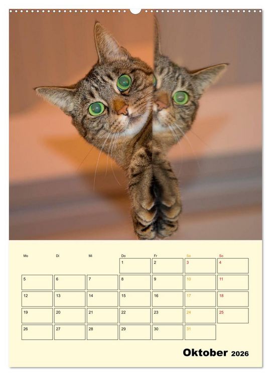 Produktbild: K&auml;tzchen - Theater (Wandkalender 2026 DIN A2 hoch), CALVENDO Monatskalender