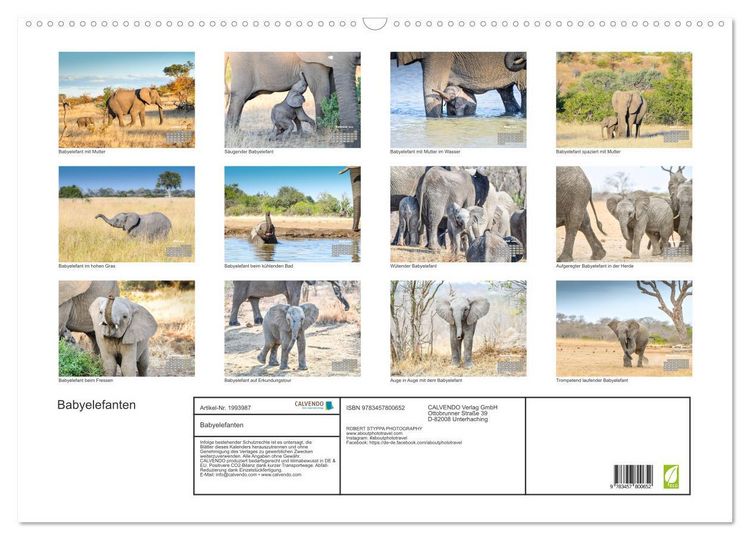 Produktbild: Babyelefanten (Wandkalender 2026 DIN A2 quer), CALVENDO Monatskalender