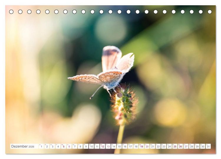 Produktbild: In der Natur unterwegs (Tischkalender 2026 DIN A5 quer), CALVENDO Monatskalender