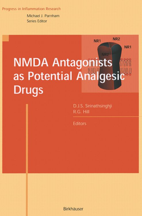 Produktbild: NMDA Antagonists as Potential Analgesic Drugs