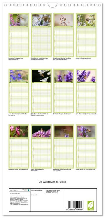Produktbild: Familienplaner 2026 - Die Wunderwelt der Biene mit 5 Spalten (Wandkalender, 21 x 45 cm) CALVENDO