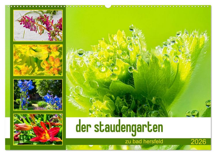 Produktbild: der staudengarten zu bad hersfeld (Wandkalender 2026 DIN A2 quer), CALVENDO Monatskalender