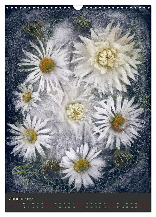Produktbild: Magische Eisblumen (Wandkalender 2027 DIN A3 hoch), CALVENDO Monatskalender