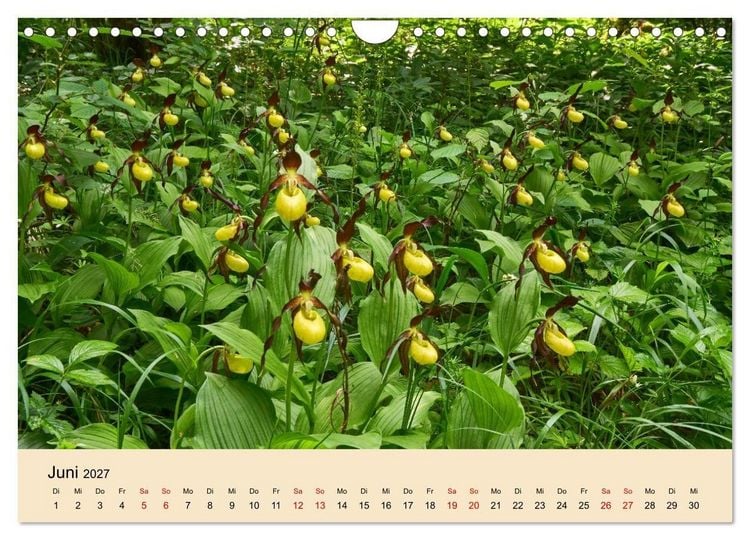 Produktbild: Franken - eine Region voller Naturwunder (Wandkalender 2027 DIN A4 quer), CALVENDO Monatskalender