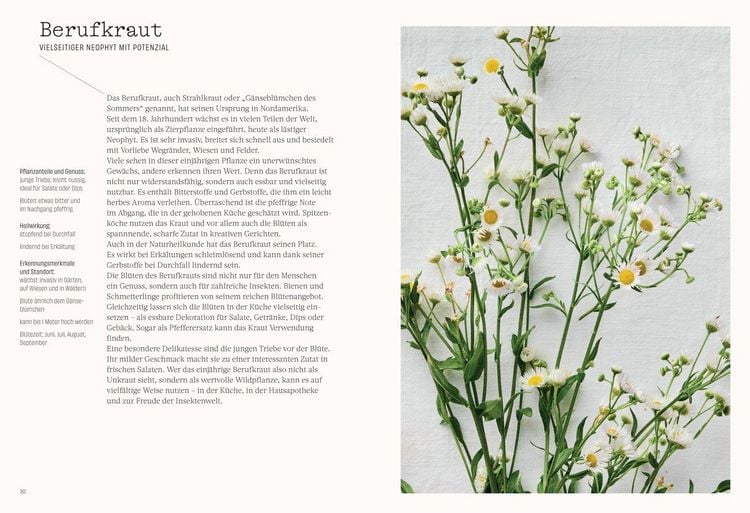 Produktbild: Wild. Kr&auml;uter. Vielfalt