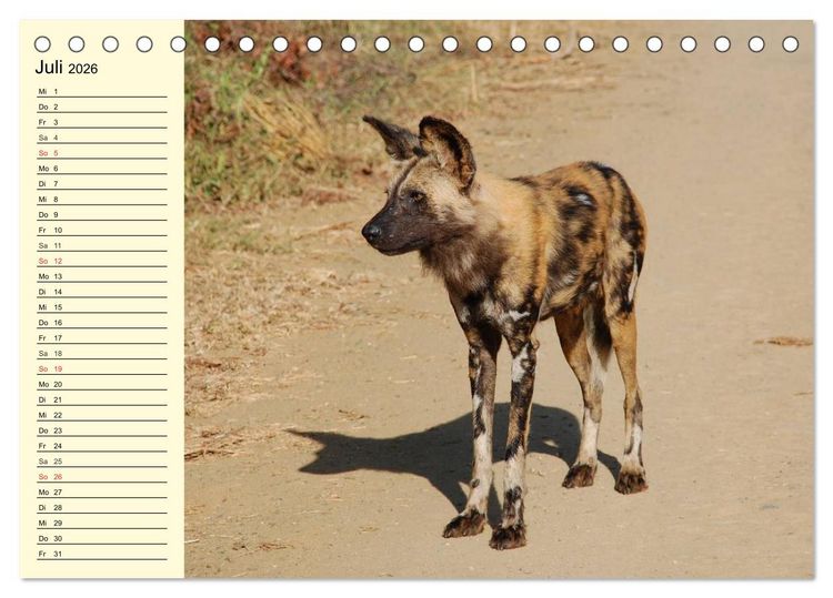 Produktbild: Afrika. Tiere in freier Wildbahn (Tischkalender 2026 DIN A5 quer), CALVENDO Monatskalender