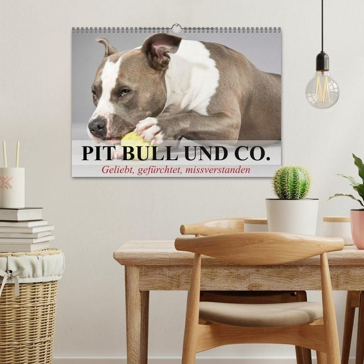 Produktbild: Pit Bull und Co. - Geliebt, gef&uuml;rchtet, missverstanden (Wandkalender 2026 DIN A3 quer), CALVENDO Monatskalender