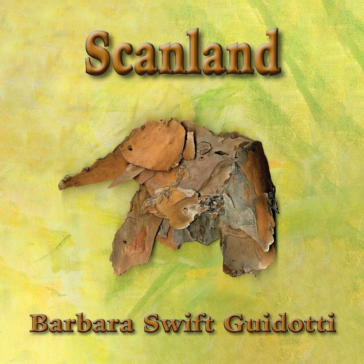 Produktbild: Scanland