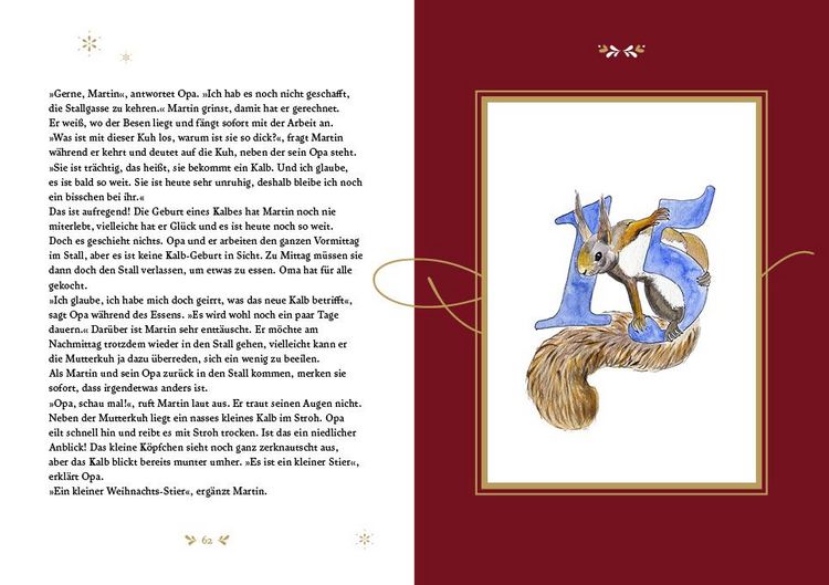 Produktbild: Martins Adventkalender