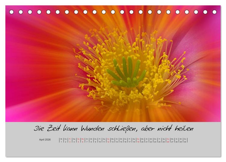 Produktbild: Kleine und gro&szlig;e Wahrheiten - Spr&uuml;che zum Nachdenken (Tischkalender 2026 DIN A5 quer), CALVENDO Monatskalender