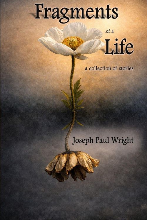 Produktbild: Fragments of a Life