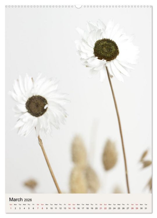 Produktbild: Dried Flowers (Wall Calendar 2026 DIN A2 portrait), CALVENDO 12 Month Wall Calendar
