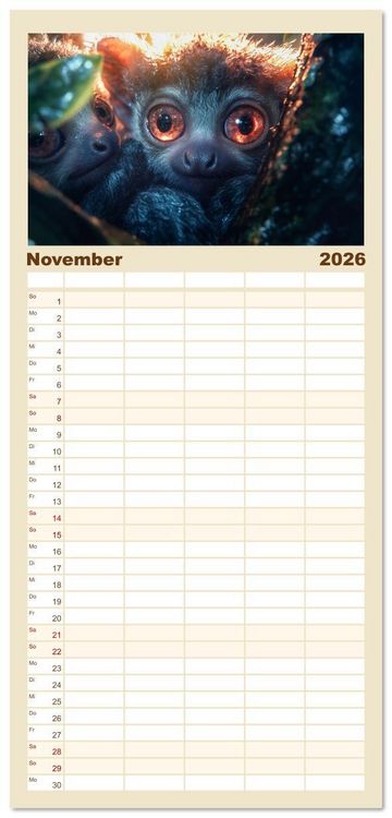 Produktbild: Familienplaner 2026 - Augen wie Kn&ouml;pfe mit 5 Spalten (Wandkalender, 21 x 45 cm) CALVENDO