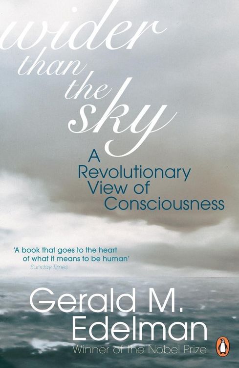 Produktbild: Wider Than the Sky
