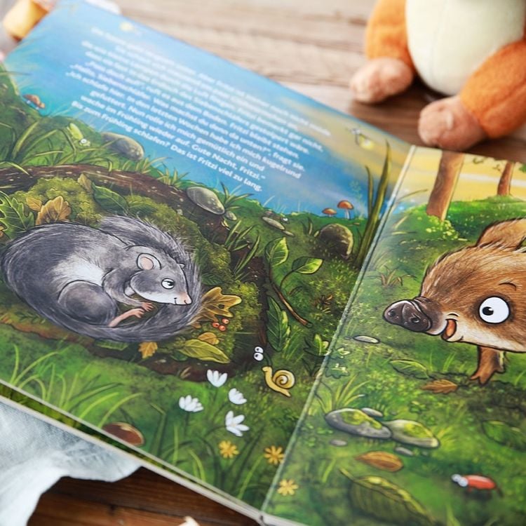 Produktbild: Wie schläft der Wald?