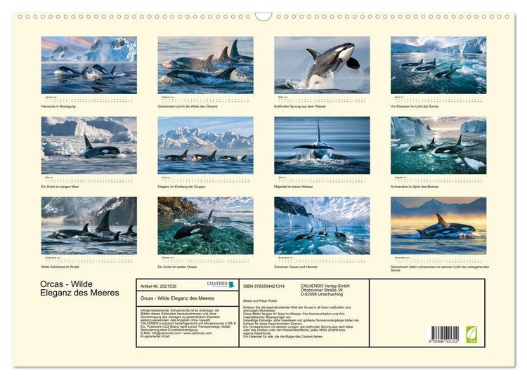 Produktbild: Orcas - Wilde Eleganz des Meeres (Wandkalender 2027 DIN A2 quer), CALVENDO Monatskalender