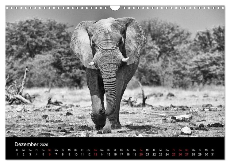 Produktbild: Elefanten Schwarz - Weiss (Wandkalender 2026 DIN A3 quer), CALVENDO Monatskalender