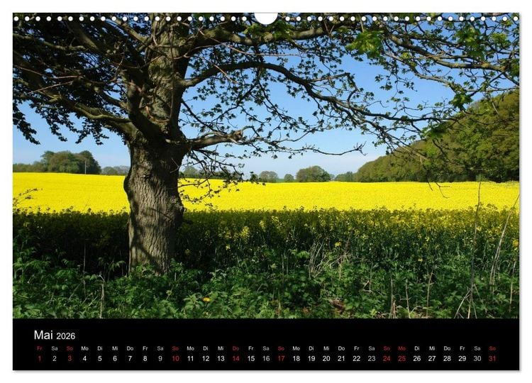 Produktbild: Baum-Variationen (Wandkalender 2026 DIN A3 quer), CALVENDO Monatskalender