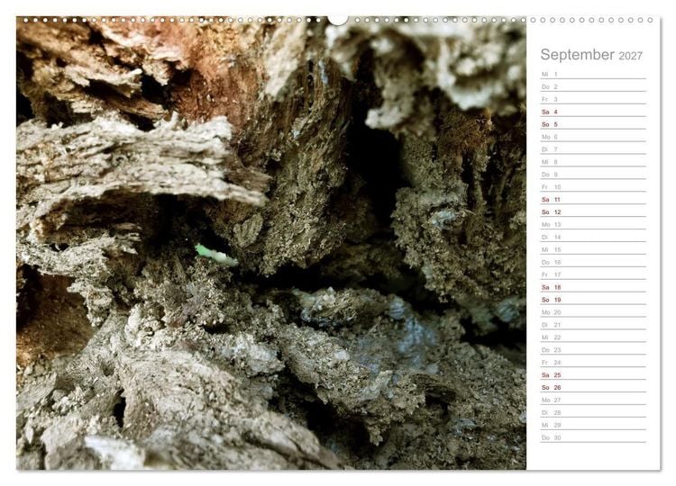 Produktbild: Abstrakte Umwelt (Wandkalender 2027 DIN A2 quer), CALVENDO Monatskalender