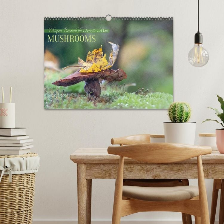 Produktbild: Whispers Beneath the Forest's Moss Mushrooms (Wall Calendar 2026 DIN A3 landscape), CALVENDO 12 Month Wall Calendar