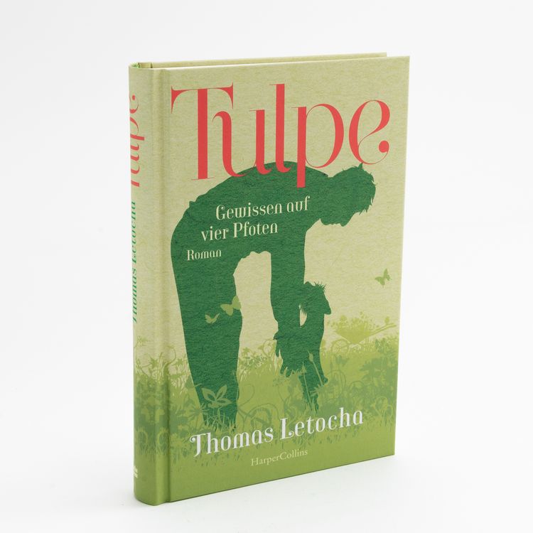 Produktbild: Tulpe