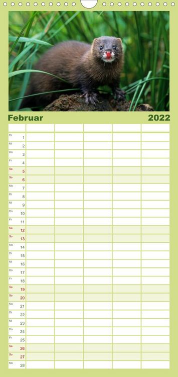 Produktbild: Familienplaner Tiere des Waldes (Wandkalender 2022 , 21 cm x 45 cm, hoch)