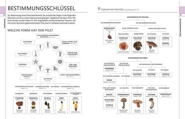 Produktbild: Pilze