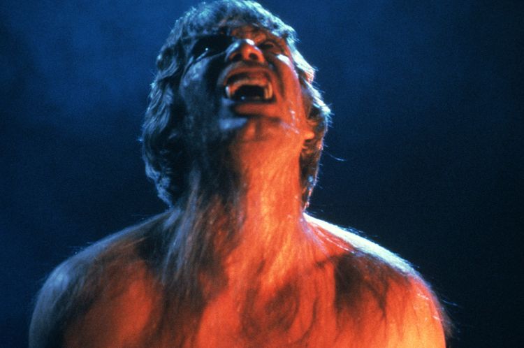 Produktbild: The Howling - Das Tier / Digital Remastered in 4K