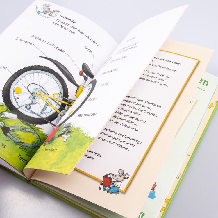 Produktbild: LESEMAUS zum Lesenlernen Sammelb&auml;nde: Das gro&szlig;e Buch zum Lesenlernen