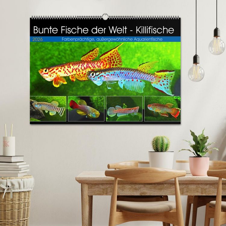 Produktbild: Bunte Fische der Welt - Killifische (Wandkalender 2026 DIN A2 quer), CALVENDO Monatskalender