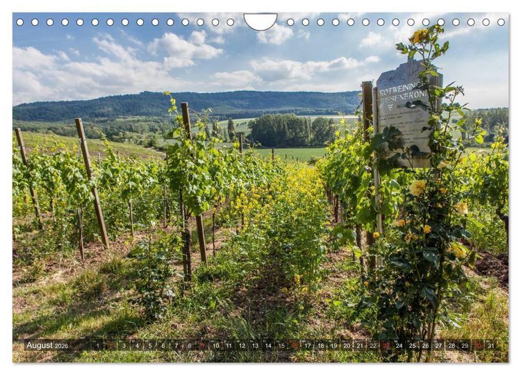 Produktbild: Weinlagen in Franken (Wandkalender 2026 DIN A4 quer), CALVENDO Monatskalender
