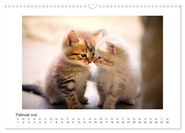 Produktbild: Unzertrennlich (Wandkalender 2026 DIN A3 quer), CALVENDO Monatskalender