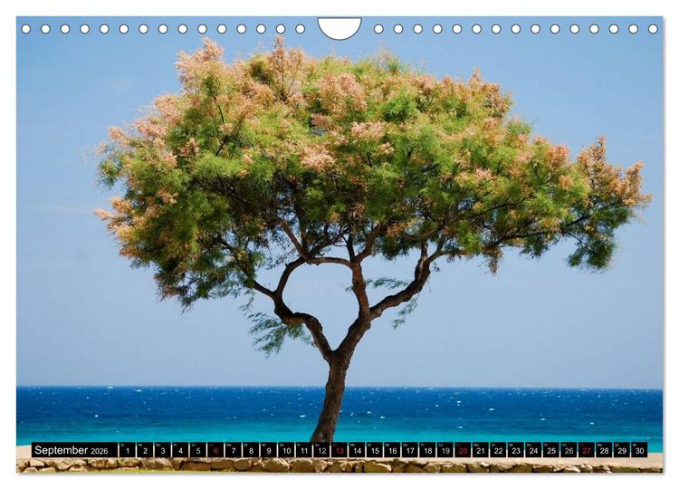 Produktbild: MALLORCA zum VERLIEBEN (Wandkalender 2026 DIN A4 quer), CALVENDO Monatskalender